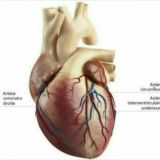 Le temple de SVTEEHB🤝🤝