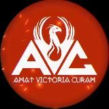 AVC Group