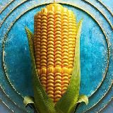 Аугсбург Лайв I Augsburg Live