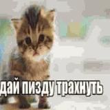 йуХ
