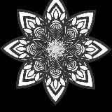 💛🌿💜Ganzheitliche Wege für Körper, Geist und Seele! Die Wunder der Natur kennen und lieben lernen💜🌿💛