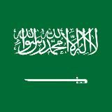 🇸🇦