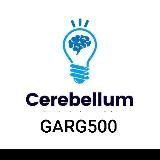 Cerebellum Mission Videos & Notes