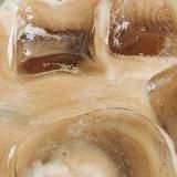 🌺𝓪𝓮𝓼𝓽𝓱𝓮𝓽𝓲𝓬𝓼🌼