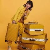 Дама сдавала багаж