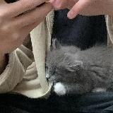 🅐🅛🅞🅝🅔🪐