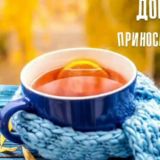 Чат канала "Все для анимации"