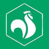 🇫🇷 Identité Libertés - IDL - Avec Marion