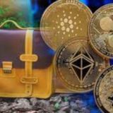 Крипто-портфель 10.000% Ани