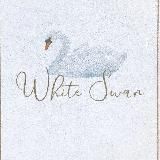 White swan 🦢