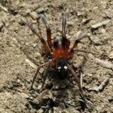 Миры Ивана Ревякова. Комментарии