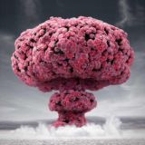 مجله | خلاقیت، بدون مرز