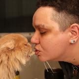 Девять Жизней