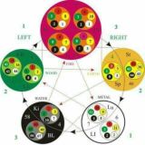 DISKUSI HERBAL & TERAPI
