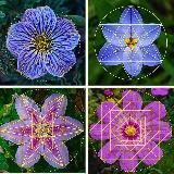 HEILKUNSTWERKSTATT🍀🌿🌱