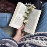 Интересные факты