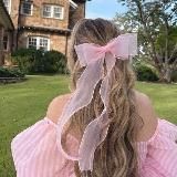 ᱙᱙ ₊ п𑄜сиделкu с рuксu (ó﹏ò｡)