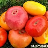 Янкин огород🍎🍆🍅🥦