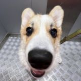 ЧАТ СЕРЕГИ 🅰️4️⃣