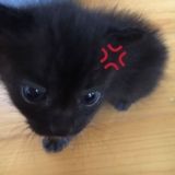 чат для лучших ребяток в мире