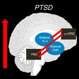 Кризова психологія та травмотерапія: фокус