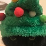 Димин паблик