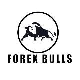 Forex Bulls Academy (Vidollar)