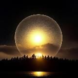 Леся из Полесья