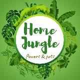 Homejungle_uz