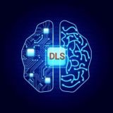 DLS Helping World 💻