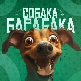 Собака барабака🐶