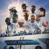 Bande organisée 2 🧩🔵⚪️