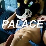 PalaceWolf 🔞