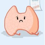 Эндокринология