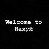 Цитаты для похуистов