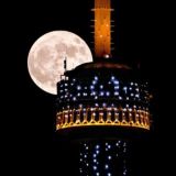 🇺🇿 • 𝐼𝑛𝑠𝑡𝑎𝑔𝑟𝑎𝑚 𝑆𝑡𝑜𝑟𝑖𝑒𝑠