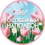 Особенный Наполеон СПБ