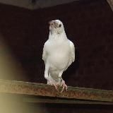 Смотри иначе. Onlinepsy.