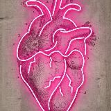 латинский для каждого🤍🩺