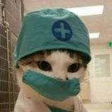 Дөслармызғөй☺️