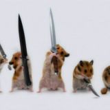 Suzanna и хомячки-неадекваты