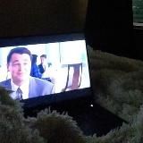 Бык с Уолл Стрит