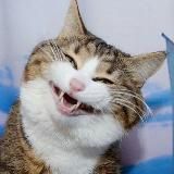 КОТЭ