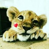 👐Keling tanishamiz🤝