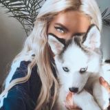 Курсы от блогеров Марго Савчук nioly kosman evdklar instaboss instagramslivki