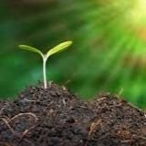 🎯CASHFLOW Lietuva 🎯 Apie pinigus ir ne tik