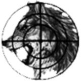 Чеченская война