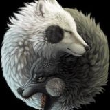 Ying yang ☯ Wolfs
