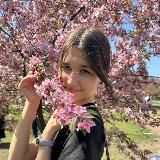 Малиновые будни