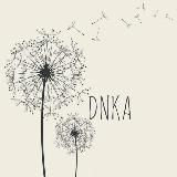 DNKA Гладик Распродажа Sale